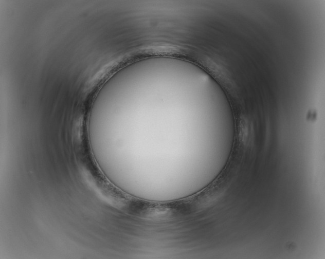 X0000112470206200909071141