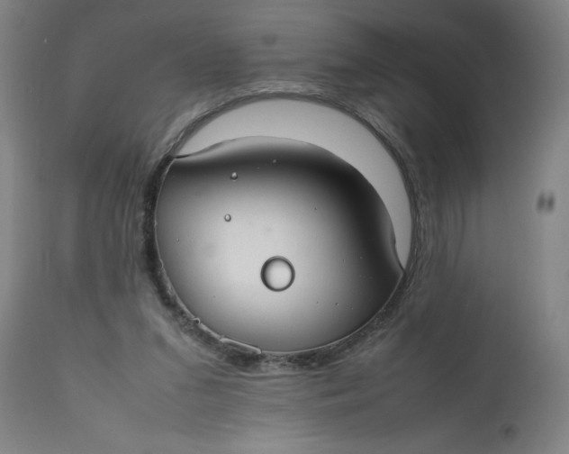 X0000112470207200909071141