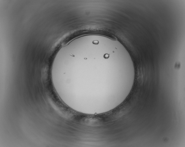 X0000112470208200909071141