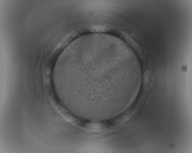 X0000112470209200909071141