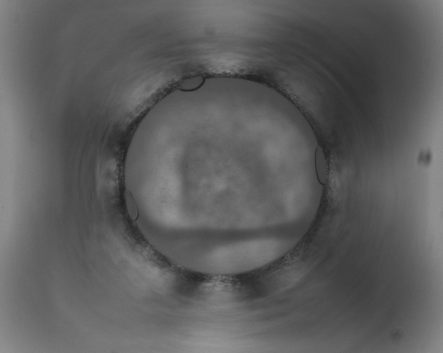 X0000112470211200909071141