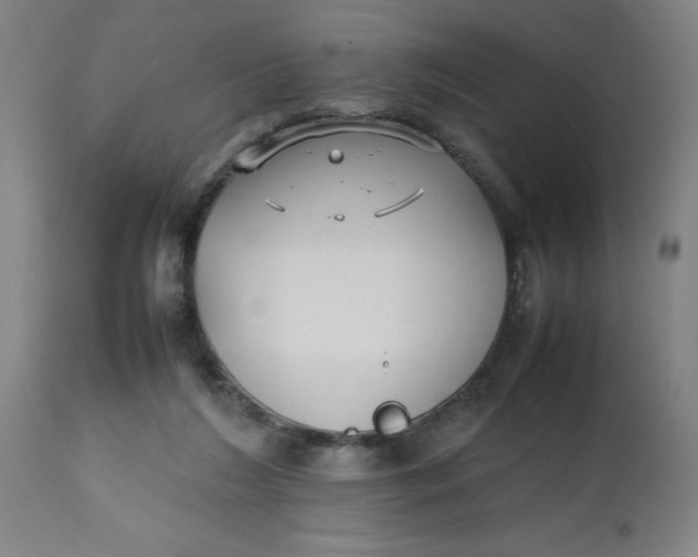 X0000112470212200909071141