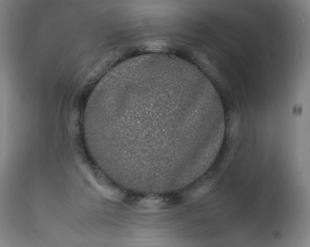 X0000112470213200909071141