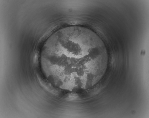 X0000112470214200909071141