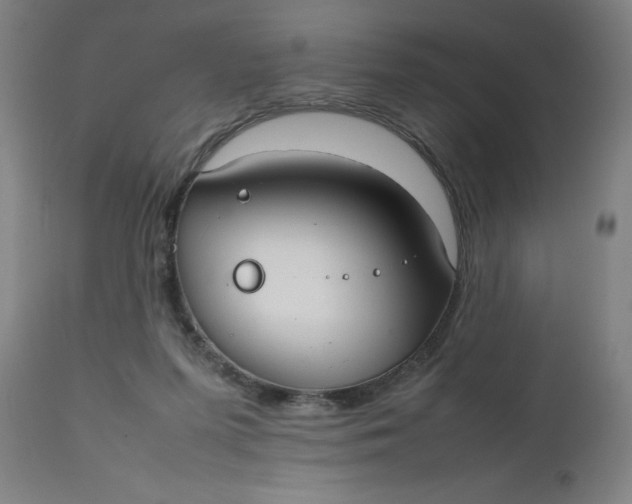 X0000112470215200909071141