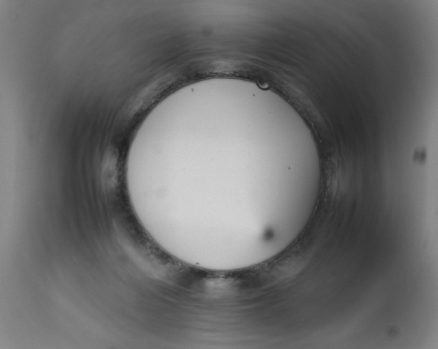 X0000112470216200909071141