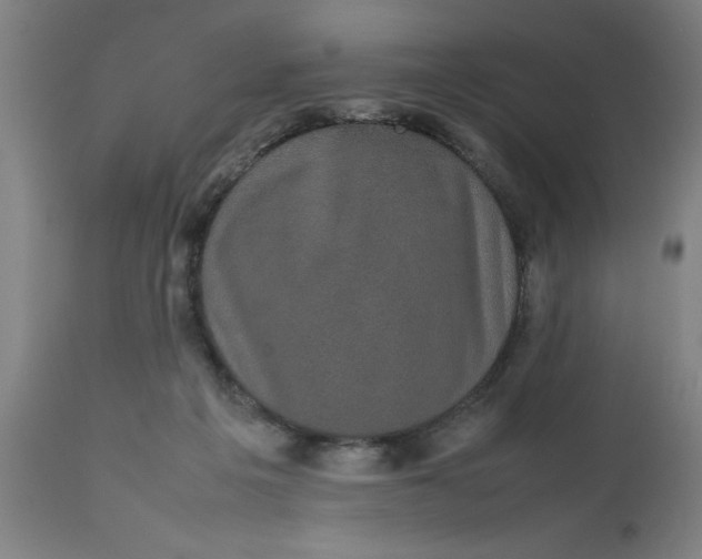 X0000112470217200909071141