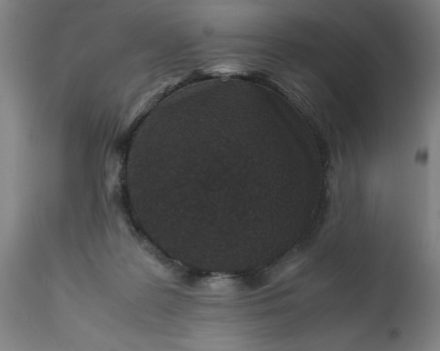 X0000112470219200909071141