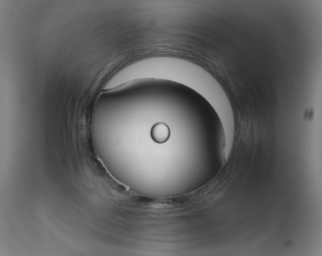 X0000112470220200909071141