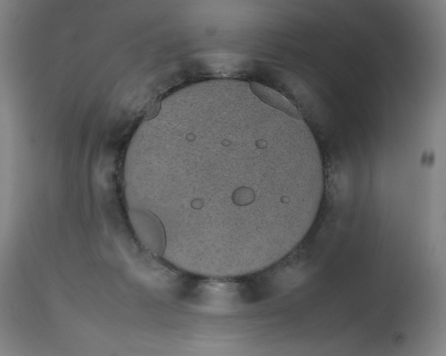 X0000112470221200909071141