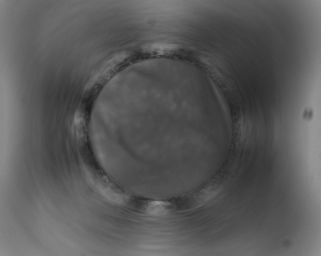 X0000112470222200909071141