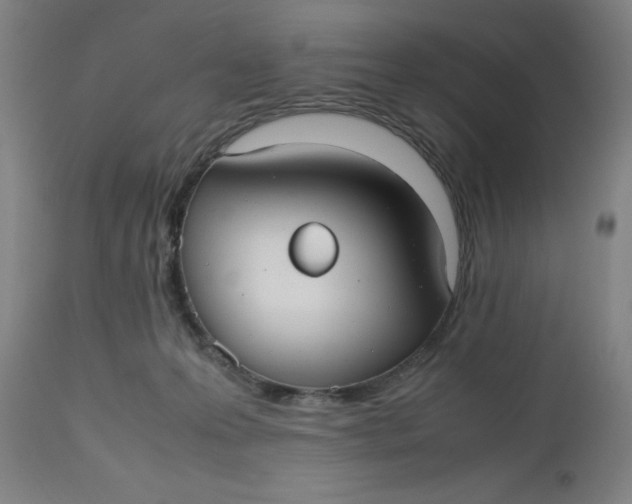 X0000112470223200909071141