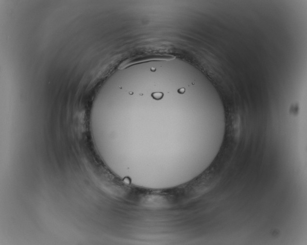 X0000112470224200909071141