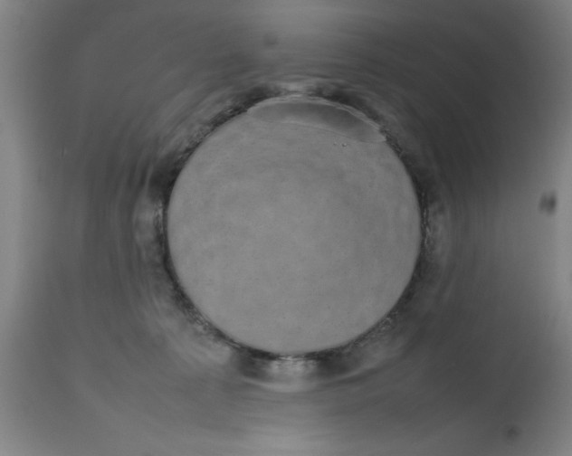 X0000112470225200909071141