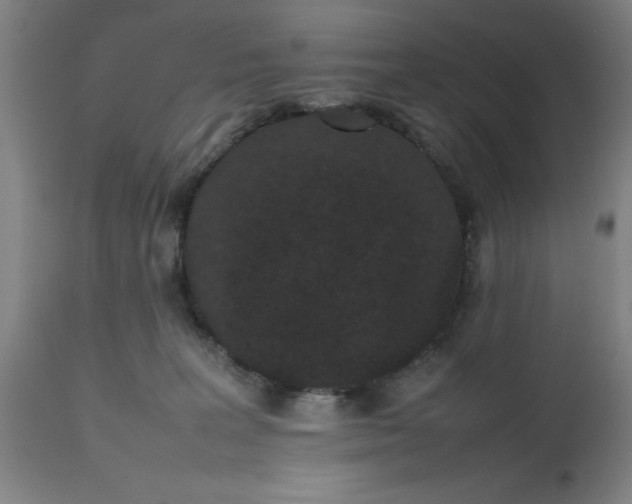 X0000112470227200909071141