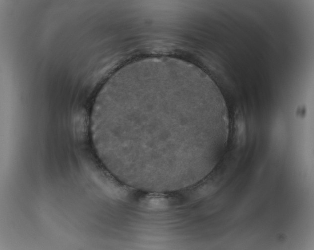 X0000112470228200909071141