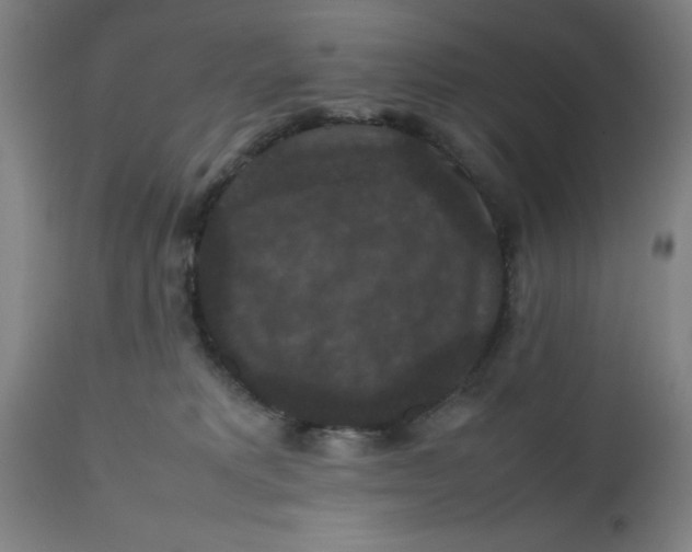 X0000112470229200909071141