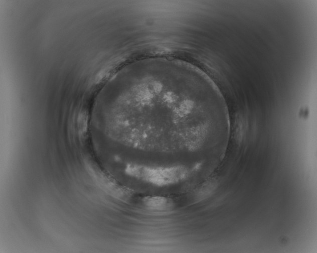 X0000112470230200909071141