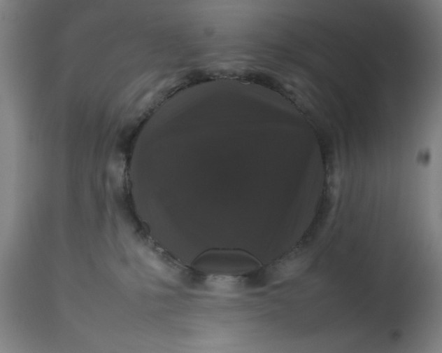 X0000112470231200909071141