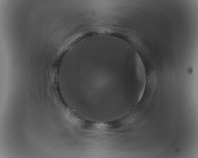 X0000112470233200909071141