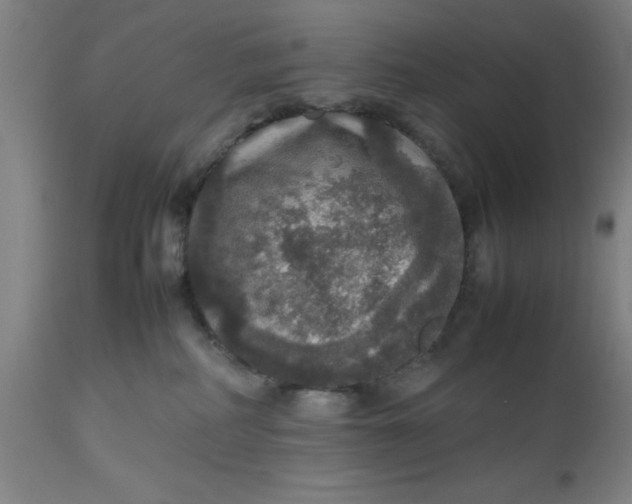 X0000112470234200909071141