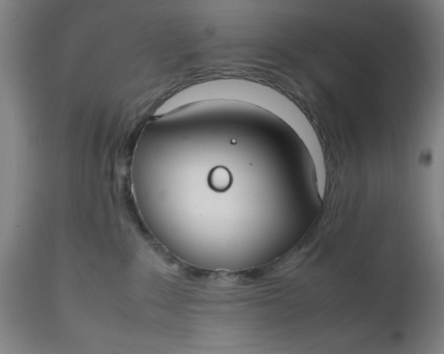 X0000112470235200909071141