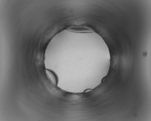 X0000112470236200909071141