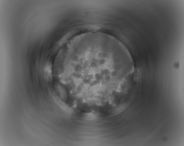 X0000112470238200909071141