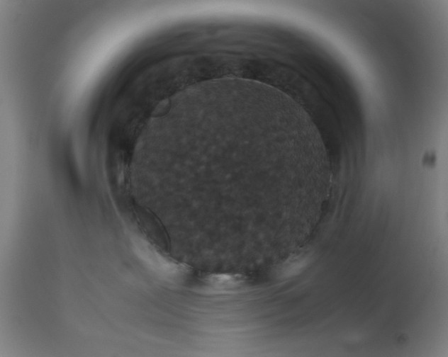 X0000112470239200909071141