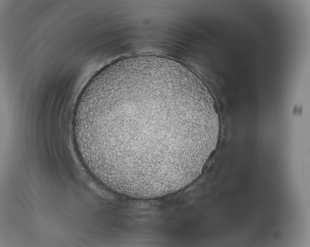 X0000112470241200909071140