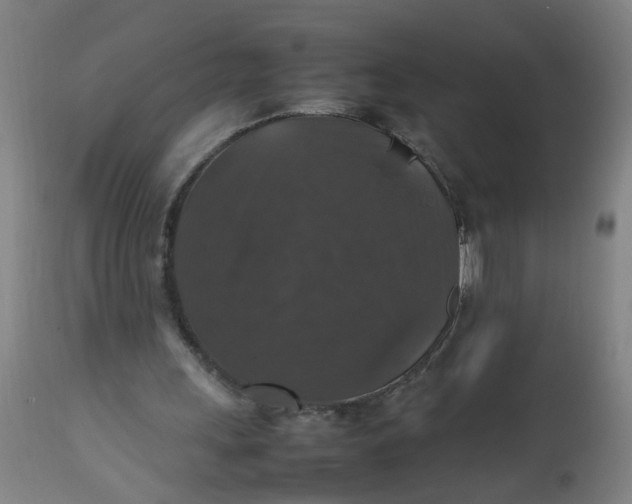 X0000112470243200909071140