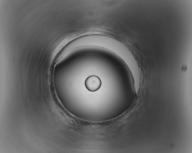 X0000112470244200909071140