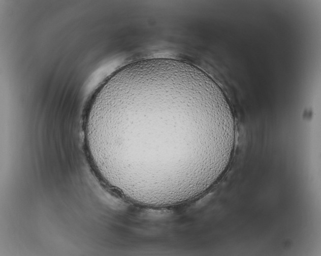 X0000112470245200909071140