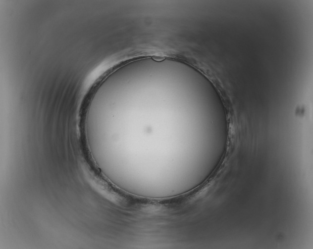 X0000112470246200909071140