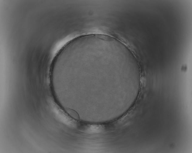 X0000112470248200909071140