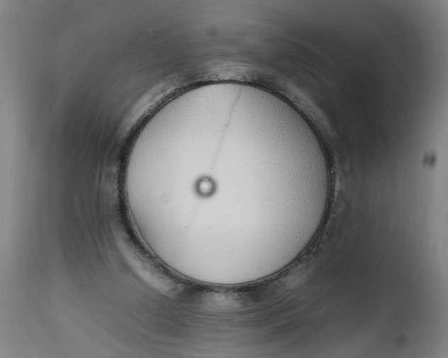 X0000112470250200909071140