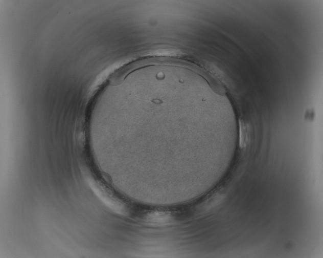 X0000112470252200909071140