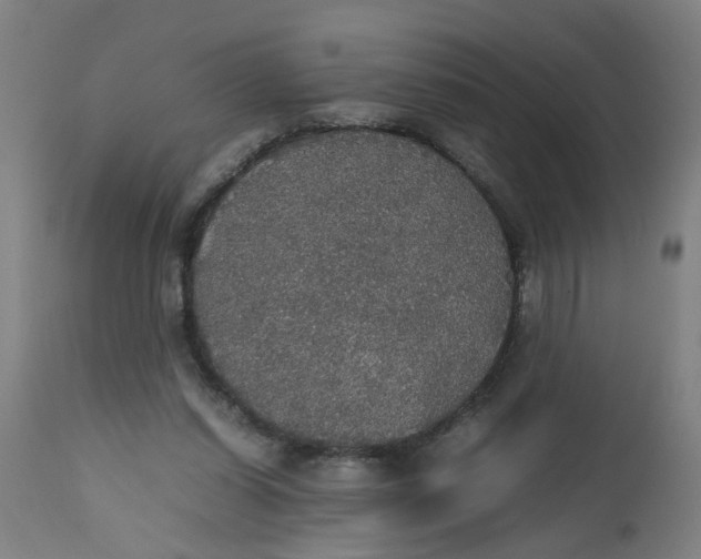 X0000112470254200909071140