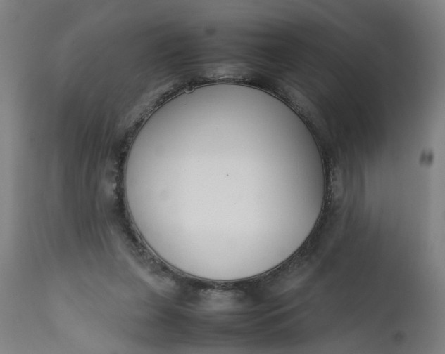 X0000112470255200909071140