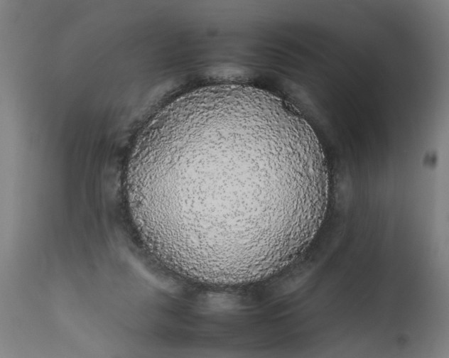 X0000112470259200909071140