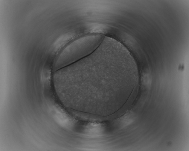 X0000112470260200909071140