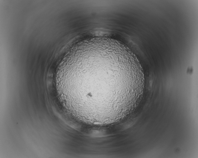 X0000112470263200909071140