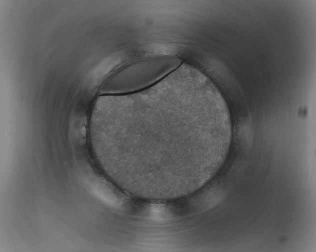 X0000112470264200909071140