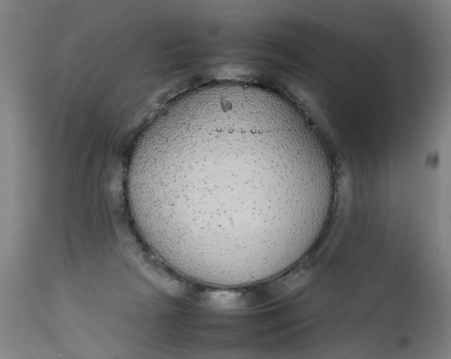 X0000112470265200909071140