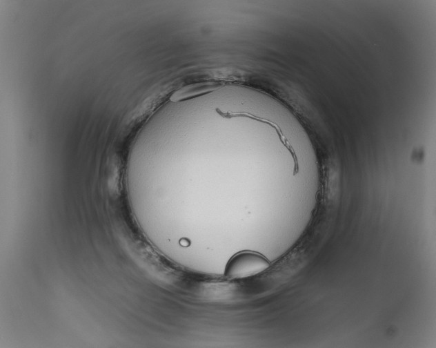 X0000112470266200909071140