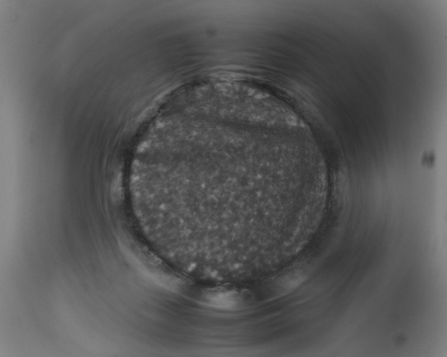 X0000112470267200909071140