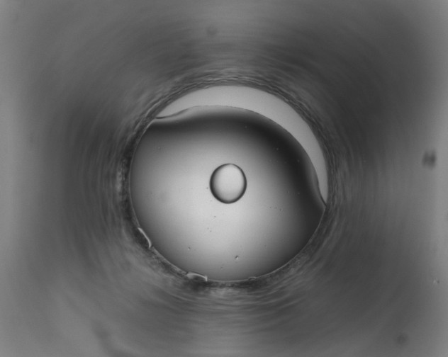 X0000112470268200909071140