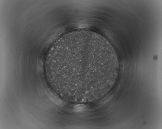 X0000112470269200909071140