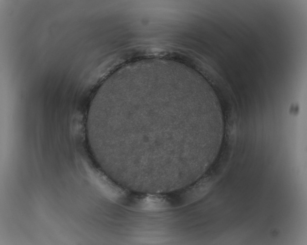 X0000112470270200909071140