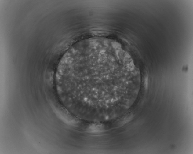 X0000112470271200909071140